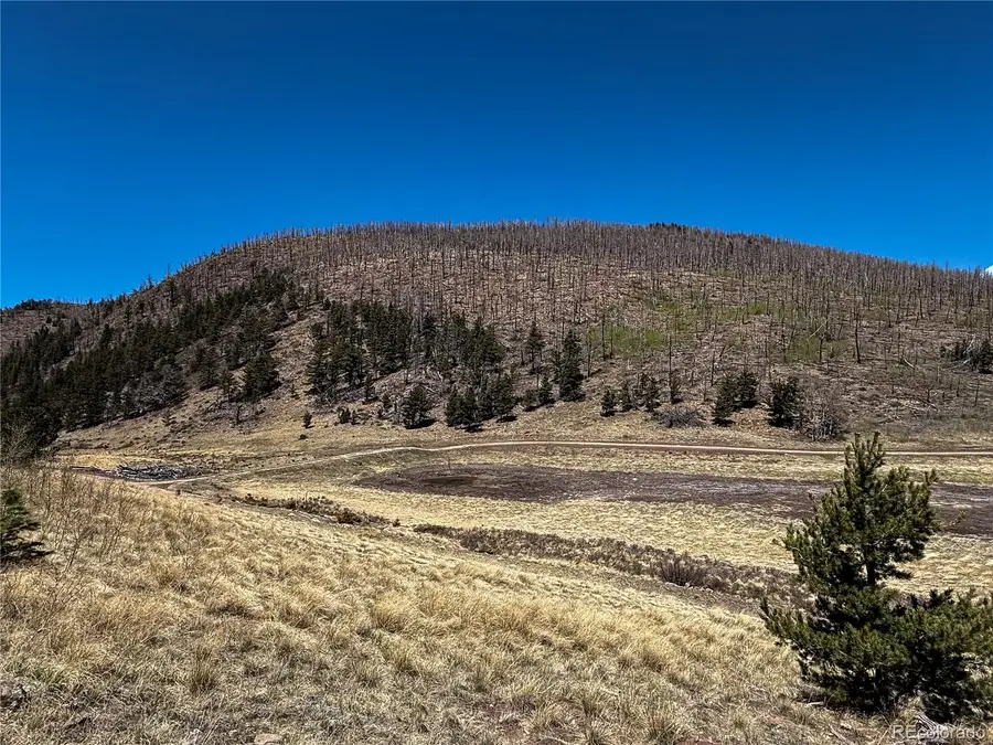 2348 Benton Place, Fort Garland, CO 81133 - #3