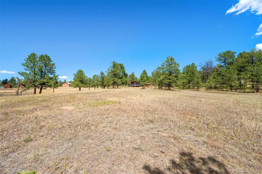 91 Adair Circle, Florissant, CO 80816 - #2