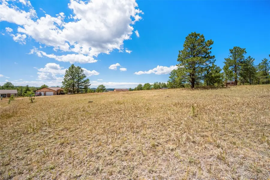 91 Adair Circle, Florissant, CO 80816 - #3