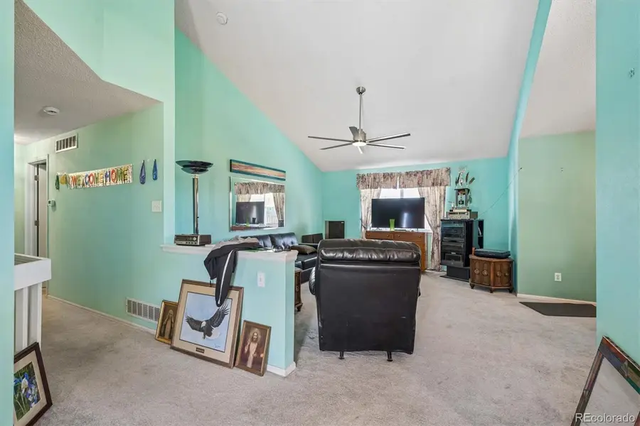 13566 Raritan Street, Westminster, CO 80234 - #3