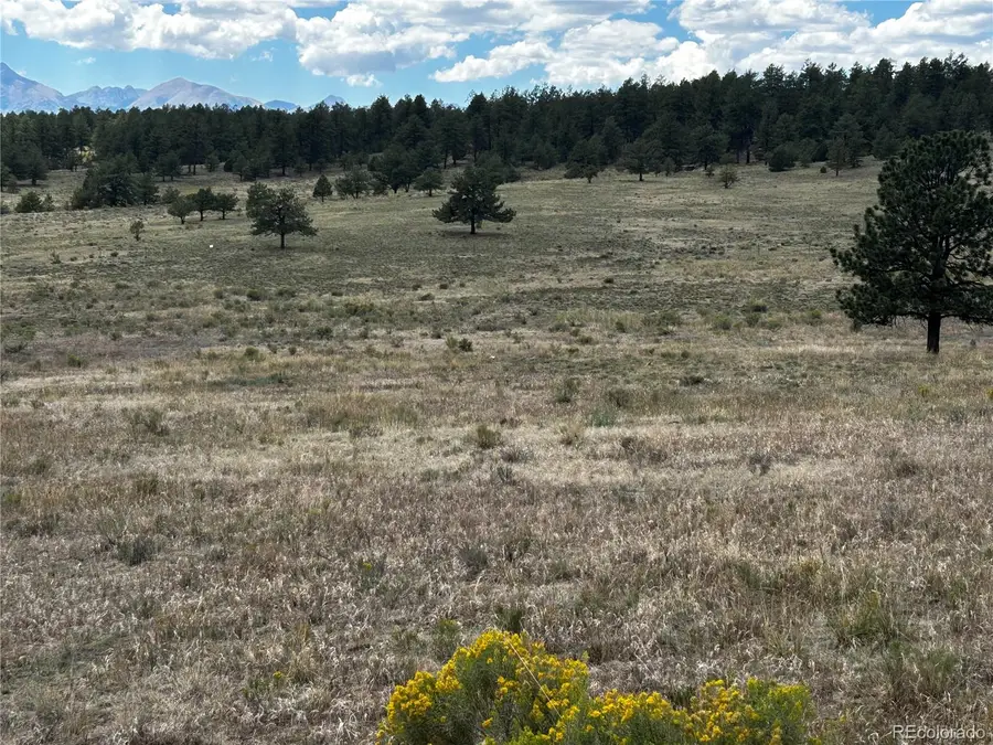 525 County Road 321, Westcliffe, CO 81252 - #3