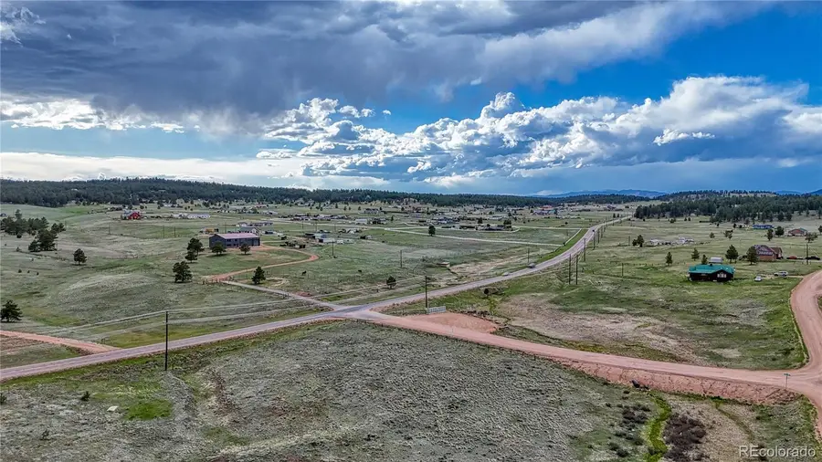 315 Empire Road, Florissant, CO 80816 - #3