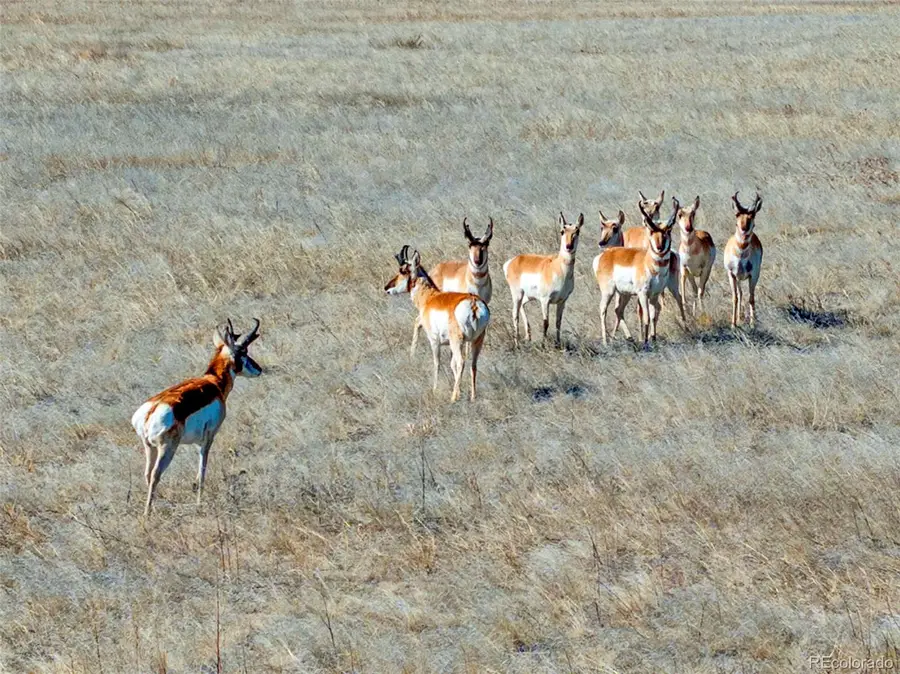 Parcel 2 S County Road 185, Byers, CO 80103 - #3