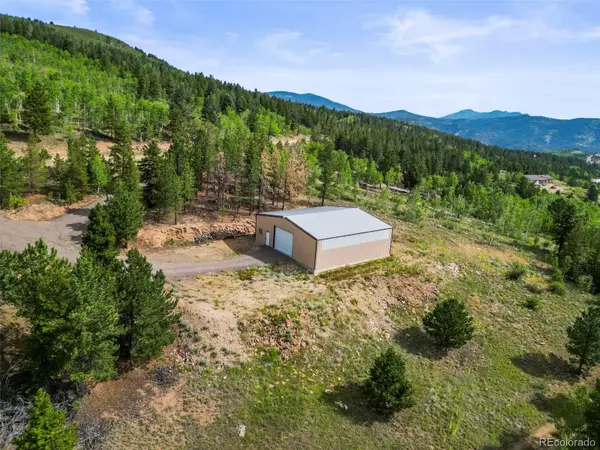 6660 Virginia Canyon Road, Central City, CO 80427