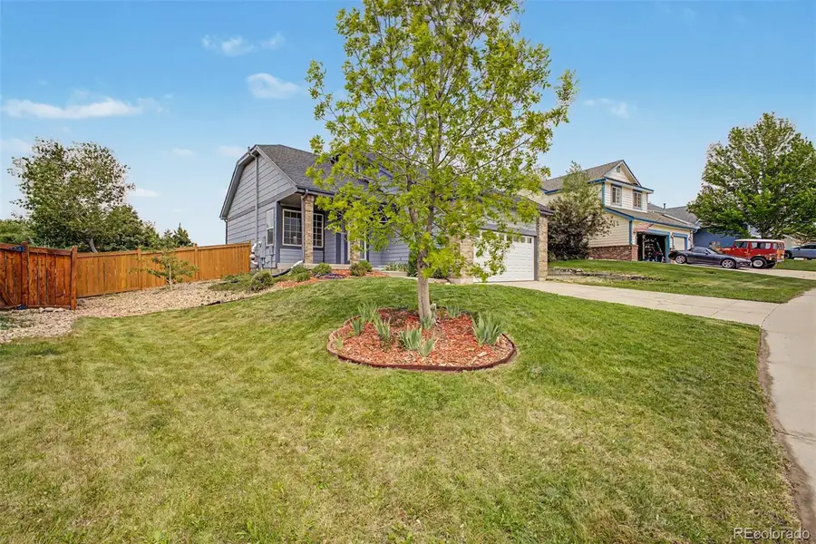 607 Balsa Drive, Castle Rock, CO 80104 - #2