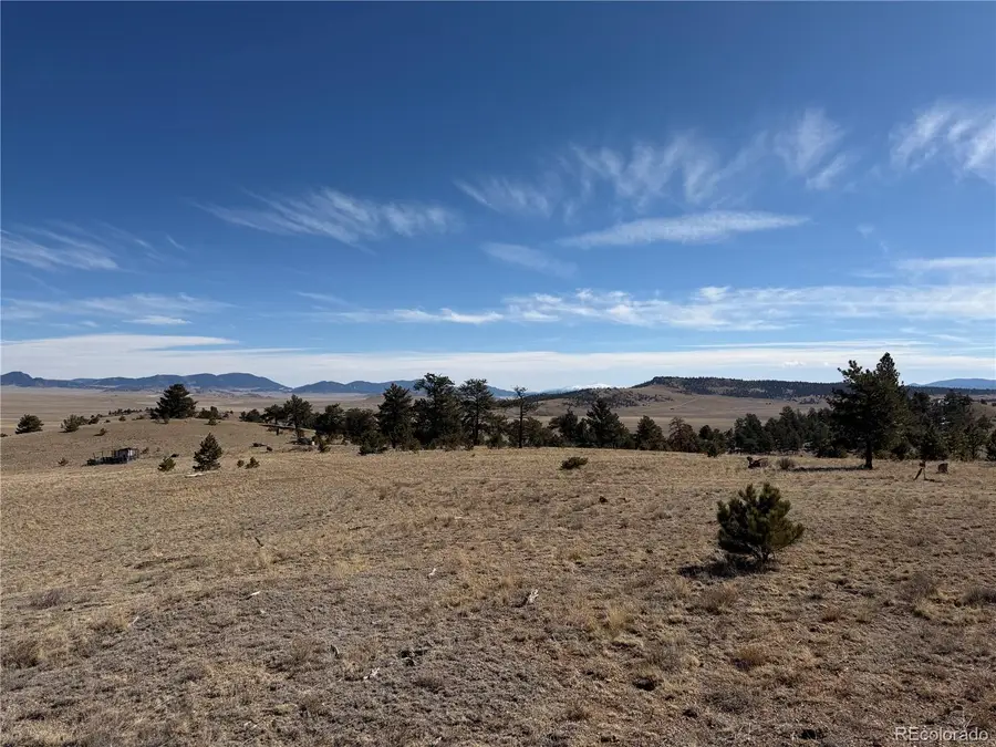 367 Arikara Trail, Hartsel, CO 80449 - #2