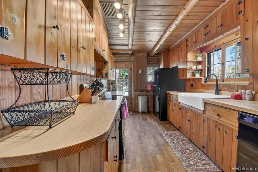 23301 Shoshone Road, Indian Hills, CO 80454 - #3