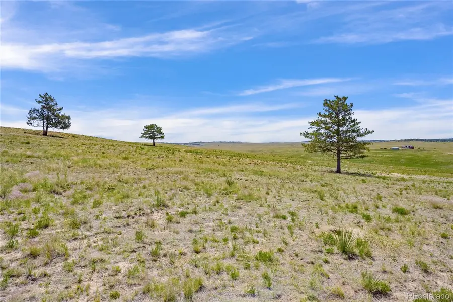 140A County Road 77, Calhan, CO 80808 - #3