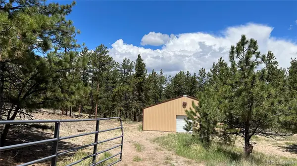 207 Little Bear Drive, Westcliffe, CO 81252