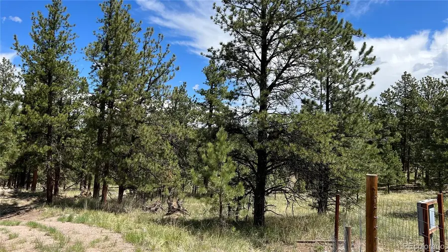 207 Little Bear Drive, Westcliffe, CO 81252 - #2