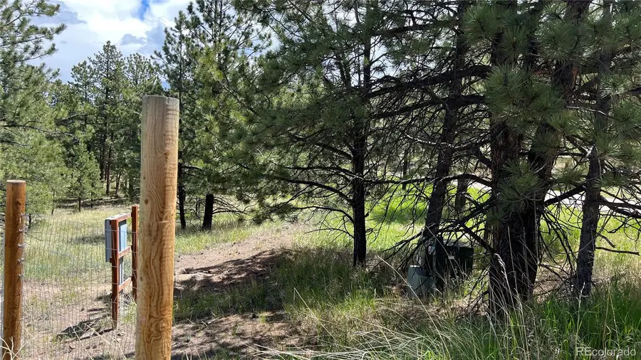 207 Little Bear Drive, Westcliffe, CO 81252 - #3