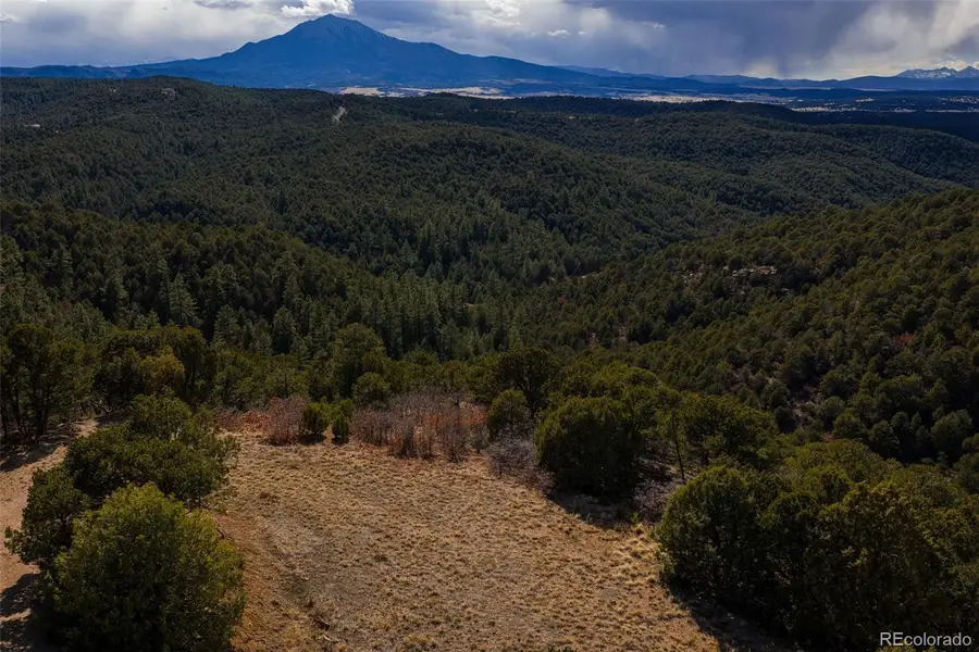 84 North Mountain, Walsenburg, CO 81089 - #2