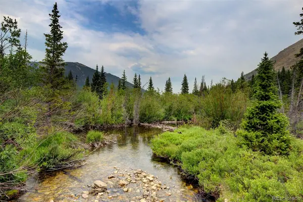 9562 Co Rd 18, Fairplay, CO 80440