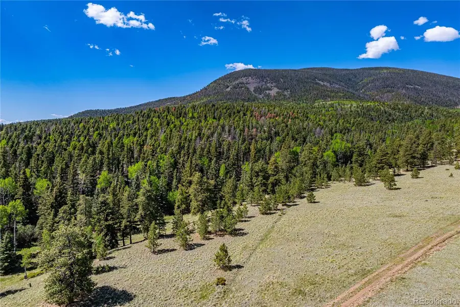 298 Steven Road, Canon City, CO 81212 - #2