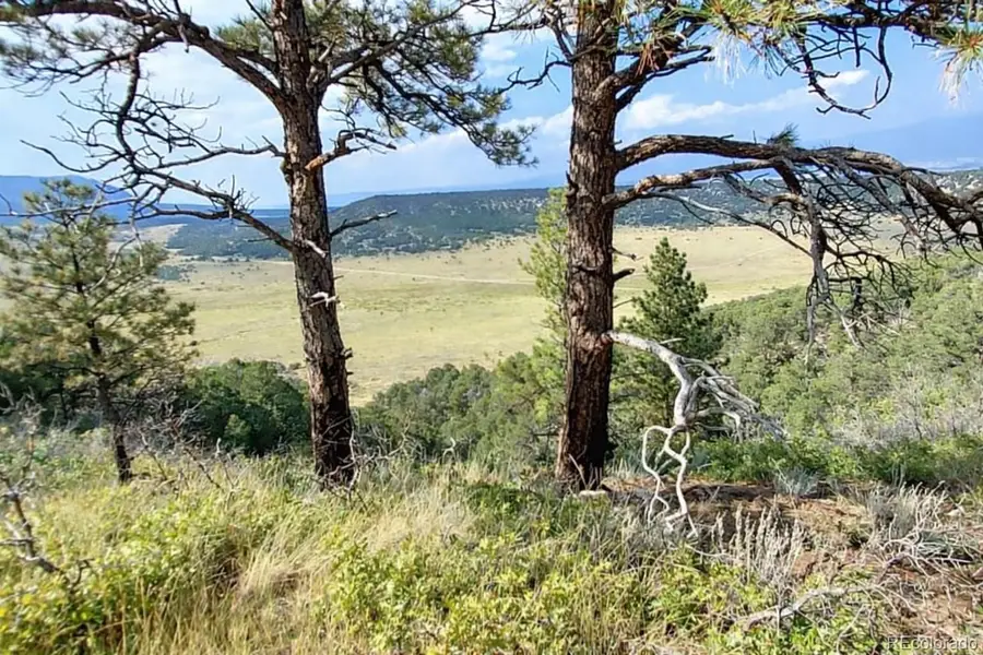 146 Cl&g, Gardner, CO 81040 - #2