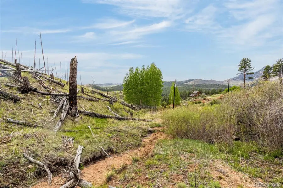 L1 B4 Columbine Circle, Woodland Park, CO 80863 - #3