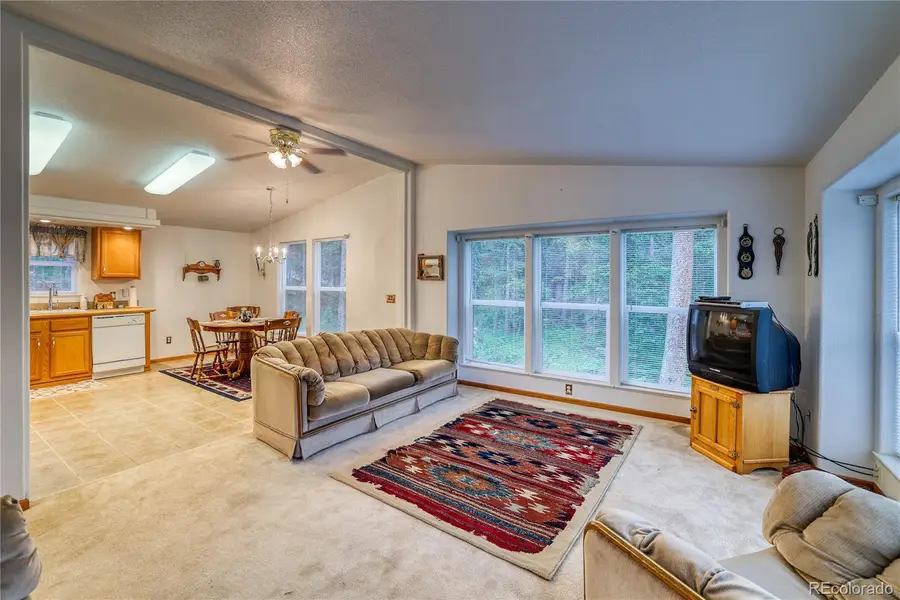 10 Stuart Vista Court, Idaho Springs, CO 80452 - #2