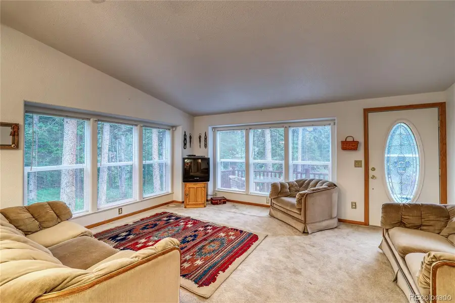 10 Stuart Vista Court, Idaho Springs, CO 80452 - #3