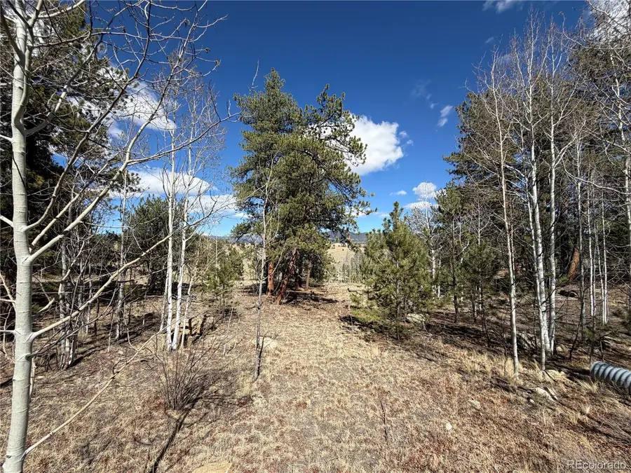 239 Shenandoah Path, Hartsel, CO 80449 - #2