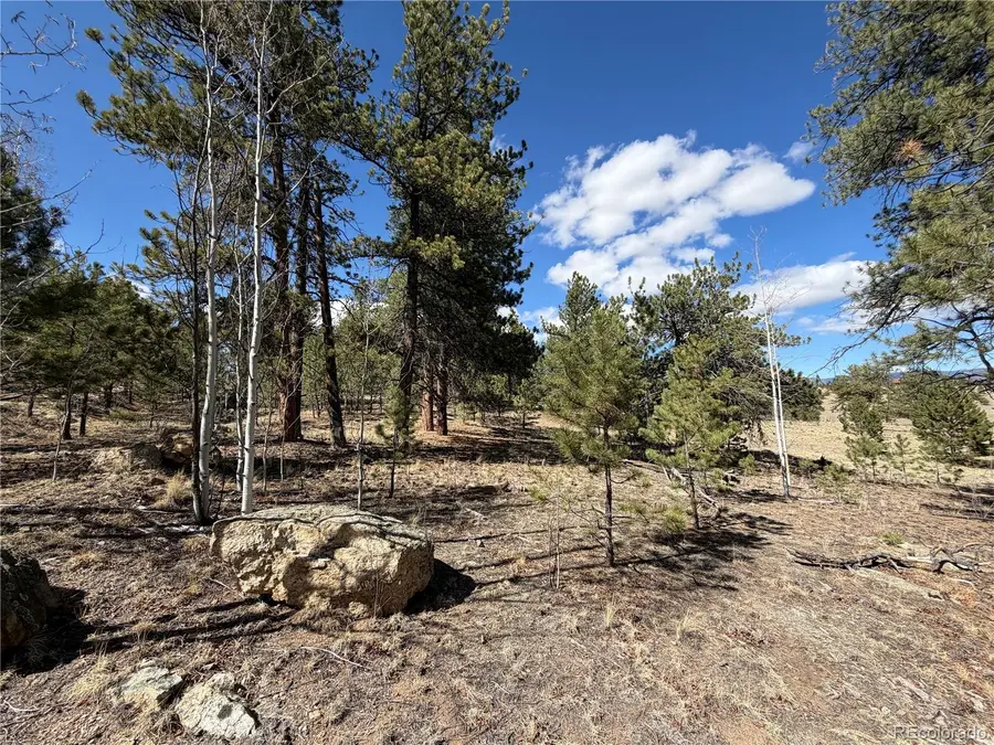 239 Shenandoah Path, Hartsel, CO 80449 - #3