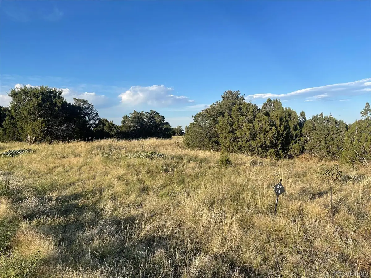 Lot 10 Blk7 Orlando's Way, Walsenburg, CO 81089 - #1