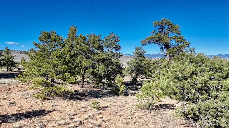 Lot 5103 Anasazi Road, Hartsel, CO 80449 - #2