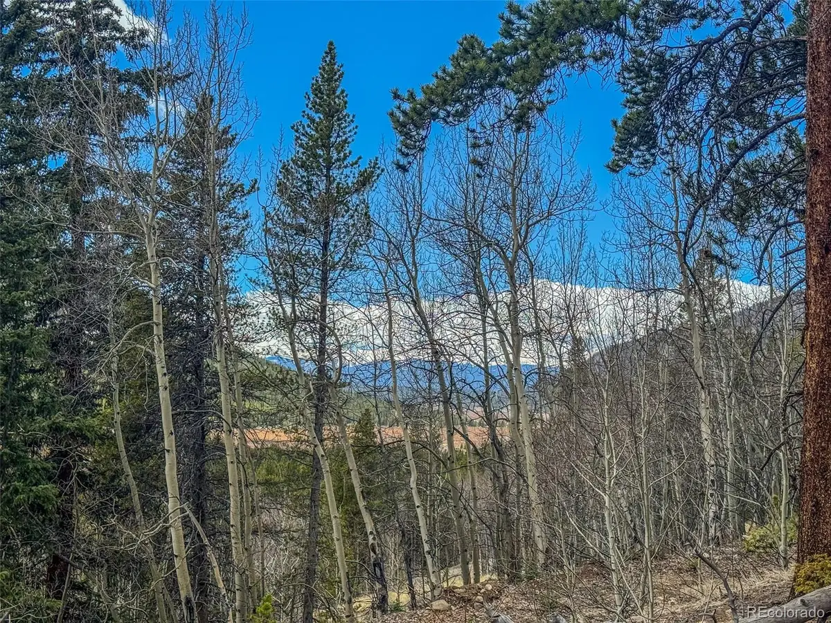 Buckeye Gulch Road, Leadville, CO 80461 - #1