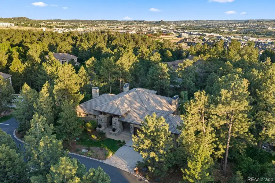 645 Ruby Trust Way, Castle Rock, CO 80108 - #2
