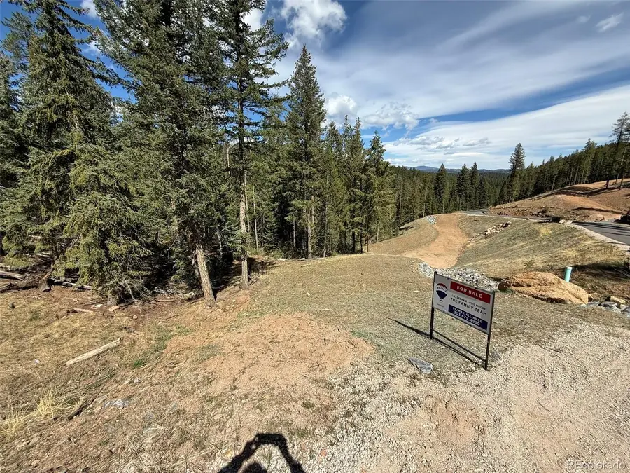 6845 Lynx Lair Road, Evergreen, CO 80439 - #3