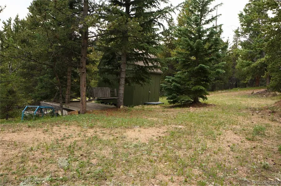 00 Lamartine Road, Idaho Springs, CO 80452 - #3