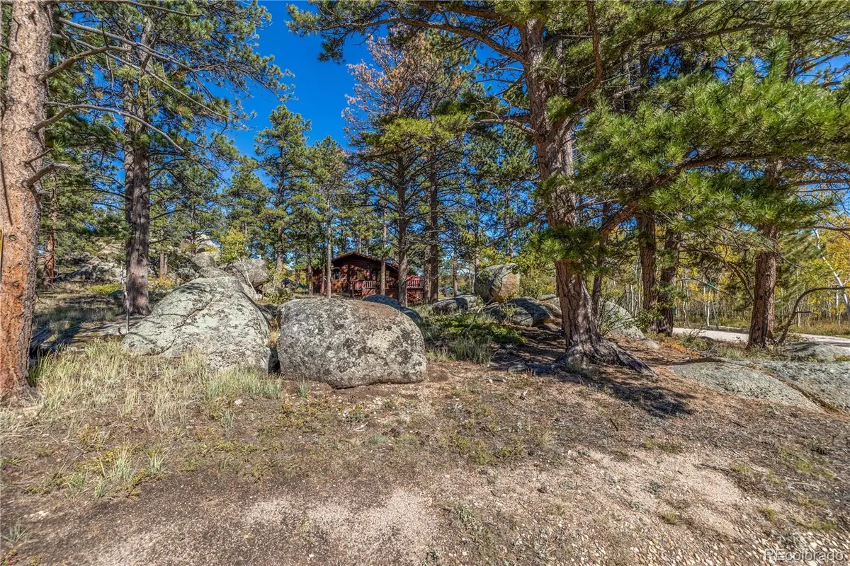 Lot 5a & 5b, Red Feather Lakes, CO 80545 - #1