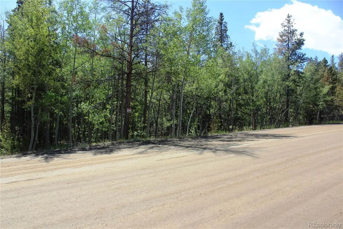 6050 Virginia Canyon Road, Central City, CO 80427 - #1