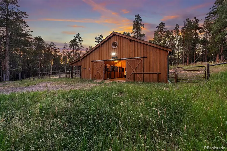 13094 Molly Drive, Conifer, CO 80433 - #2