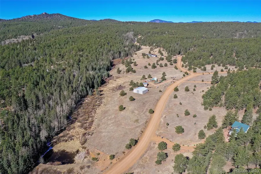 169 Saddleback Creek Drive, Florissant, CO 80816 - #3