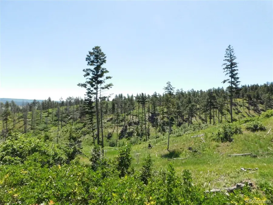 8249 Yuma Circle, Larkspur, CO 80118 - #2