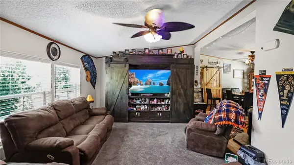 76 S Pine Drive, Bailey, CO 80421