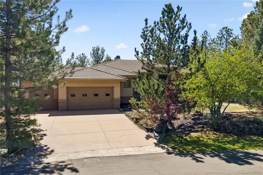 234 Lead King Drive, Castle Rock, CO 80108 - #3