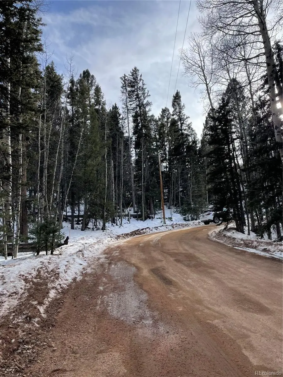 222 Banner Trail, Florissant, CO 80816 - #2