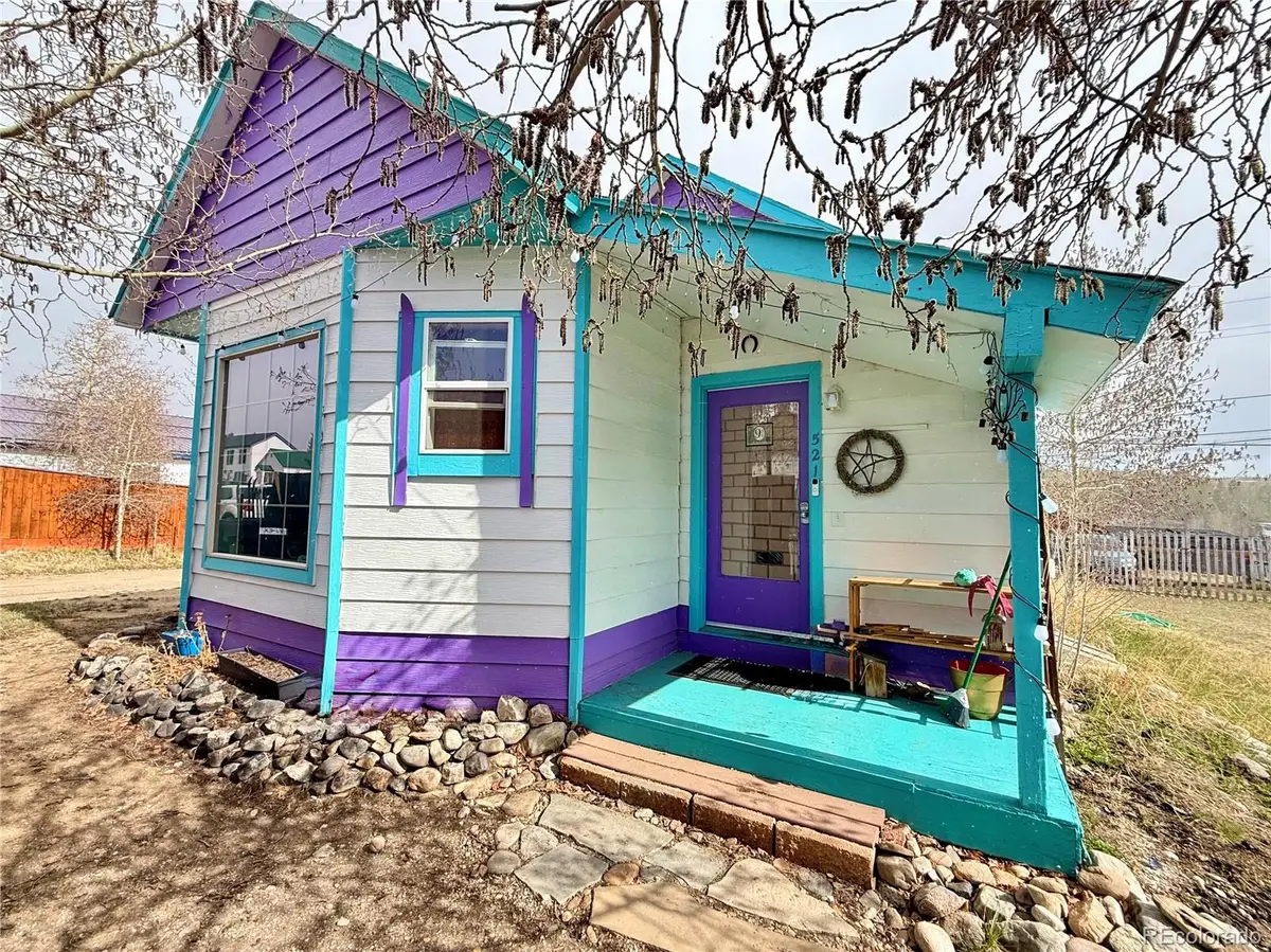 521 Elm Street, Leadville, CO 80461 - #1
