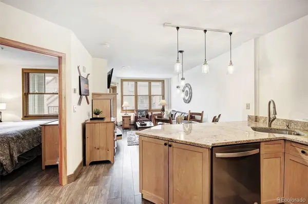 140 Ida Belle Drive #8254, Dillon, CO 80435