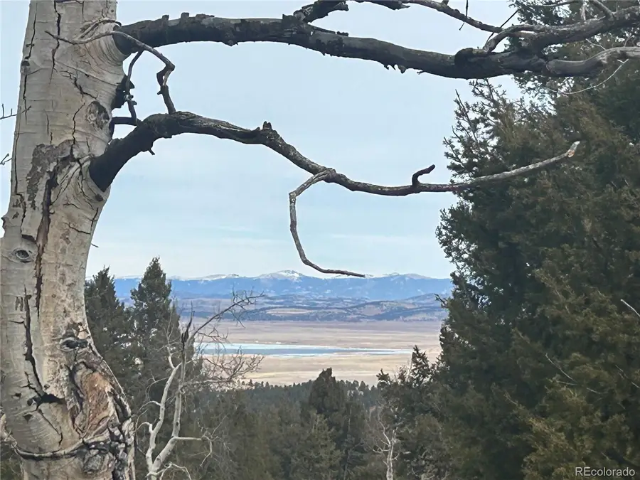 1421 Pitchfork Road, Hartsel, CO 80449 - #2