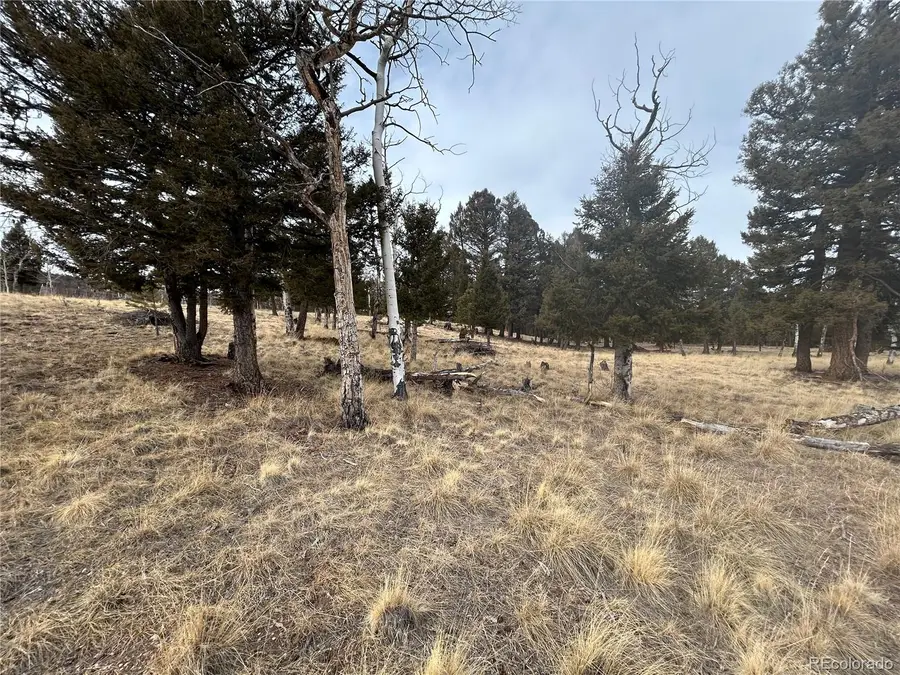 1421 Pitchfork Road, Hartsel, CO 80449 - #3