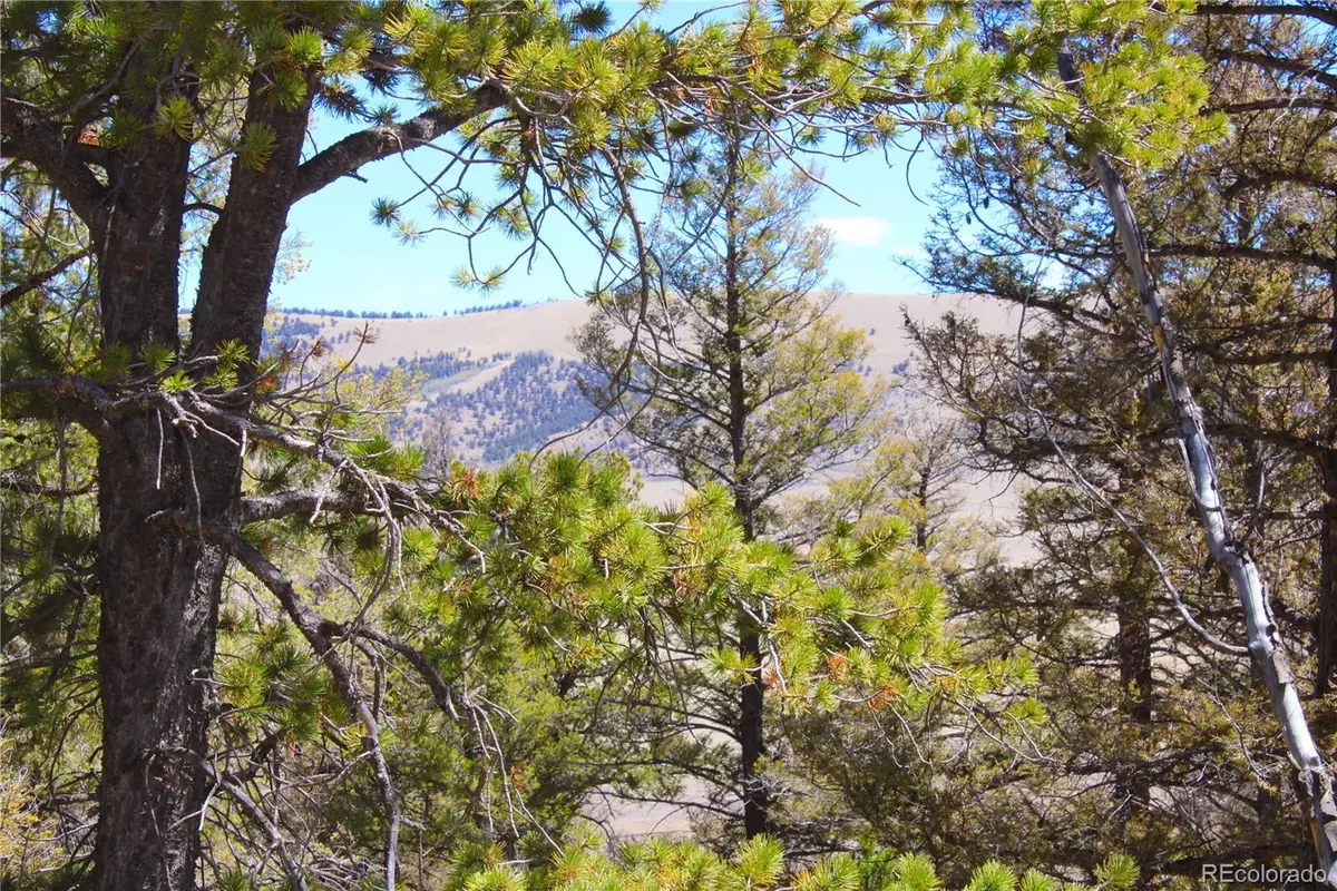 2882 Middle Fork Vista, Fairplay, CO 80440 - #1