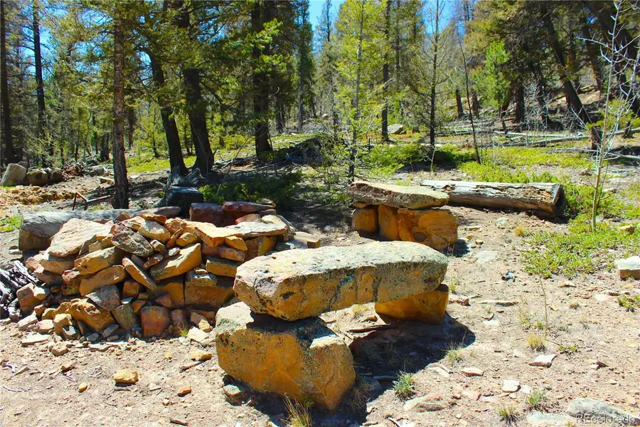 2882 Middle Fork Vista, Fairplay, CO 80440 - #2