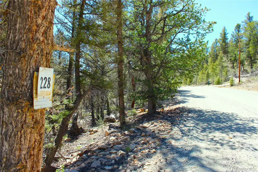 2882 Middle Fork Vista, Fairplay, CO 80440 - #3