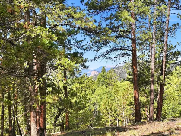 000 Molly, Conifer, CO 80433