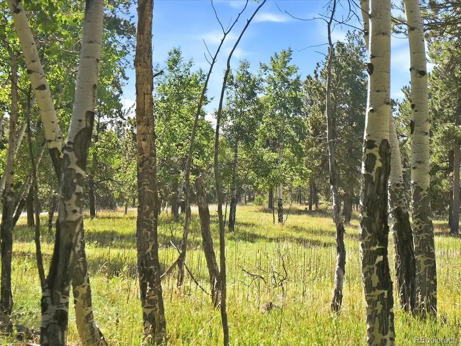 000 Molly, Conifer, CO 80433 - #2