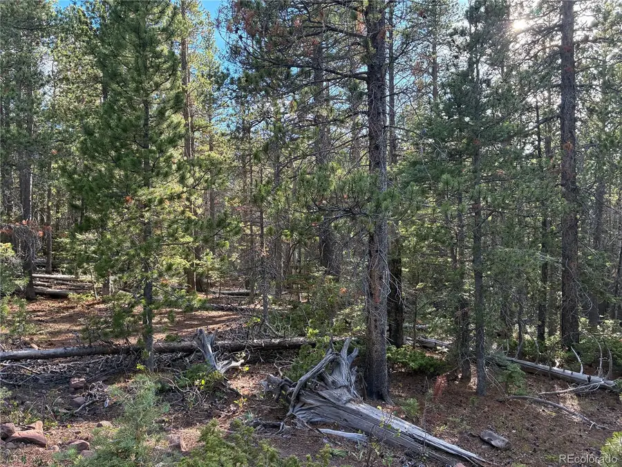 LOT 3187 Purnell Lane, Fort Garland, CO 81133 - #3