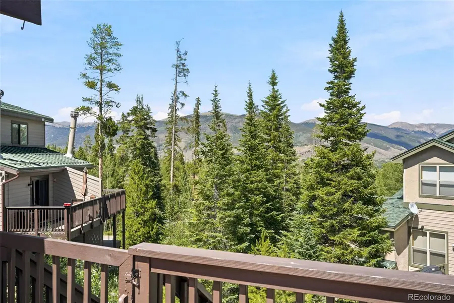184 Burgundy Circle, Silverthorne, CO 80498 - #3