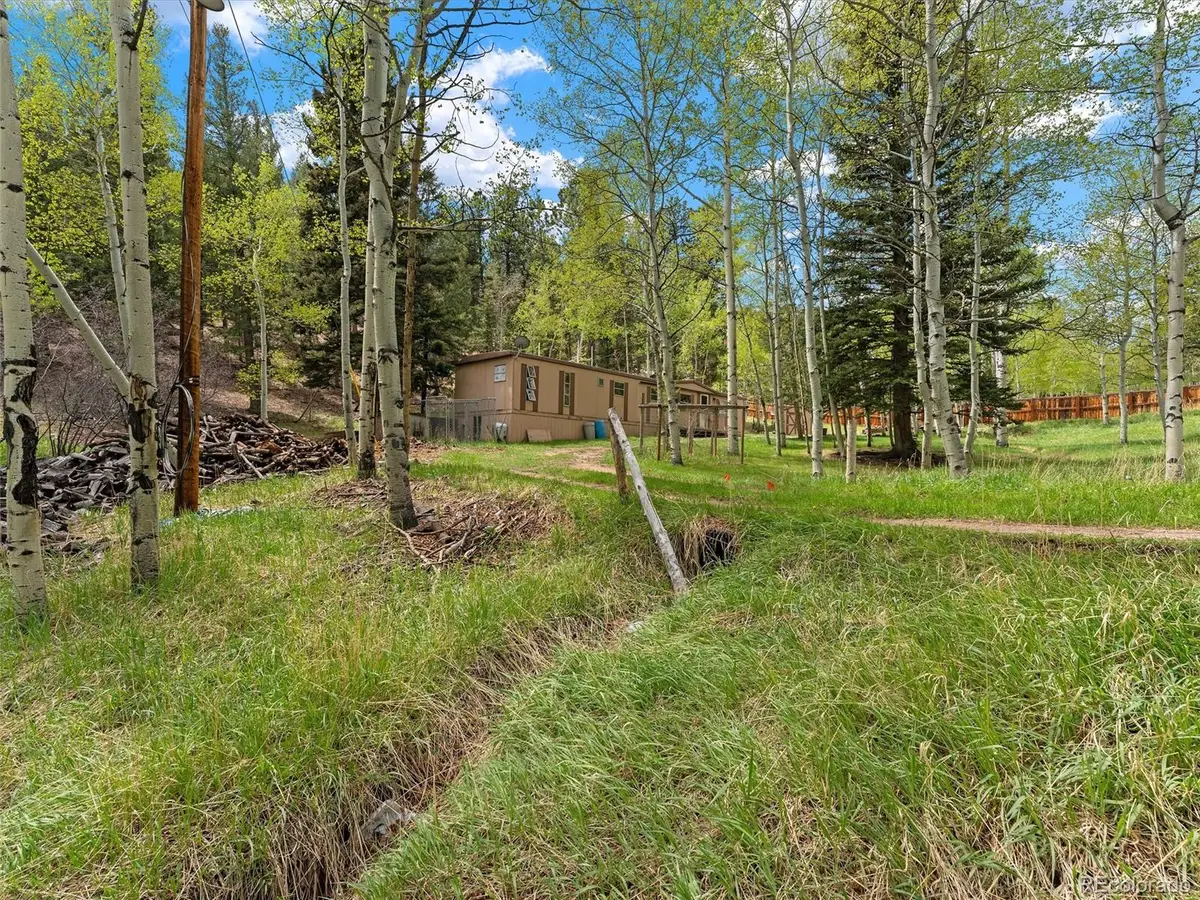 714 N Pine Drive, Bailey, CO 80421 - #1